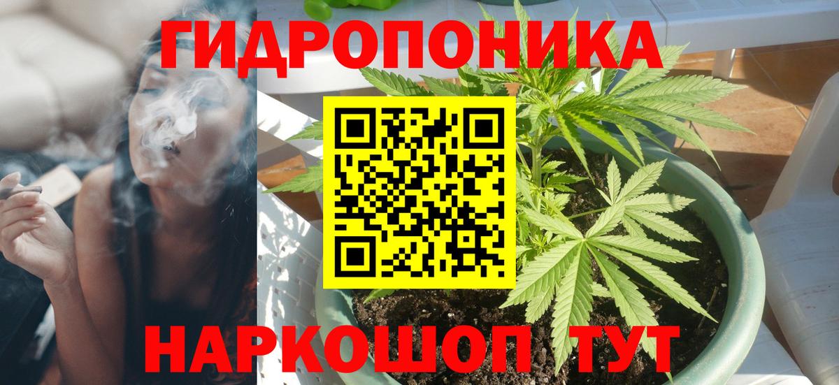 Бошки Шишки марихуана Ревда